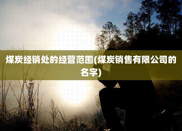 煤炭经销处的经营范围(煤炭销售有限公司的名字)