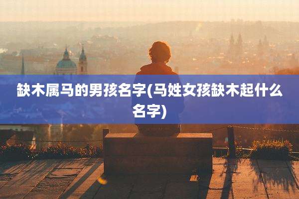 缺木属马的男孩名字(马姓女孩缺木起什么名字)