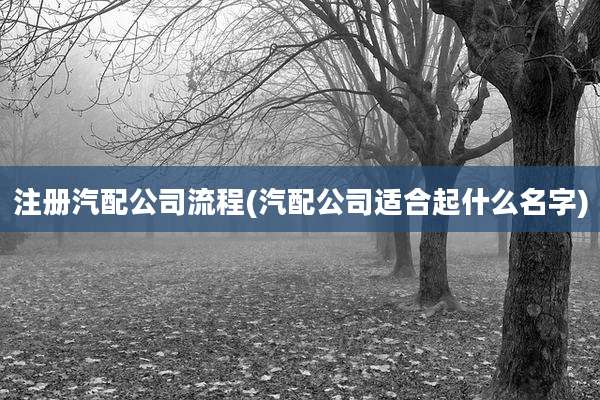 注册汽配公司流程(汽配公司适合起什么名字)