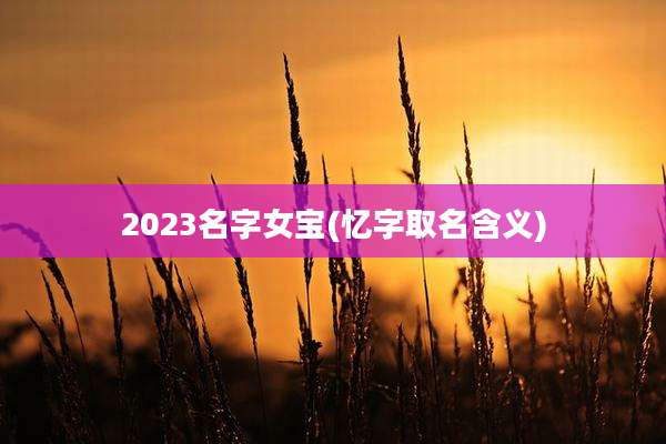 2023名字女宝(忆字取名含义)