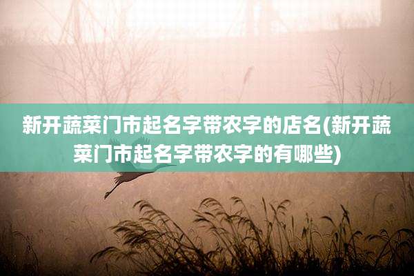 新开蔬菜门市起名字带农字的店名(新开蔬菜门市起名字带农字的有哪些)