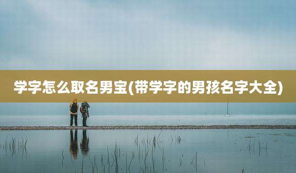 学字怎么取名男宝(带学字的男孩名字大全)