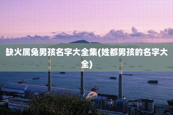 缺火属兔男孩名字大全集(姓都男孩的名字大全)