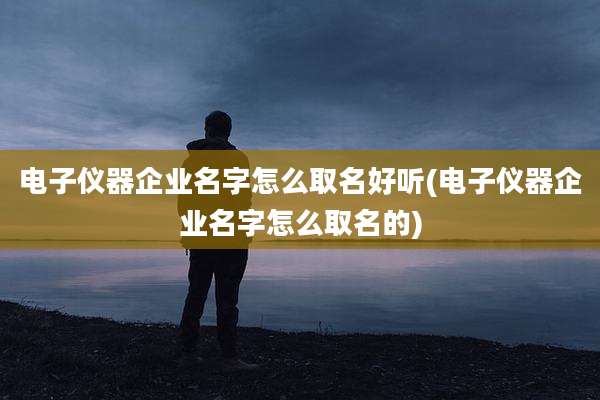 电子仪器企业名字怎么取名好听(电子仪器企业名字怎么取名的)
