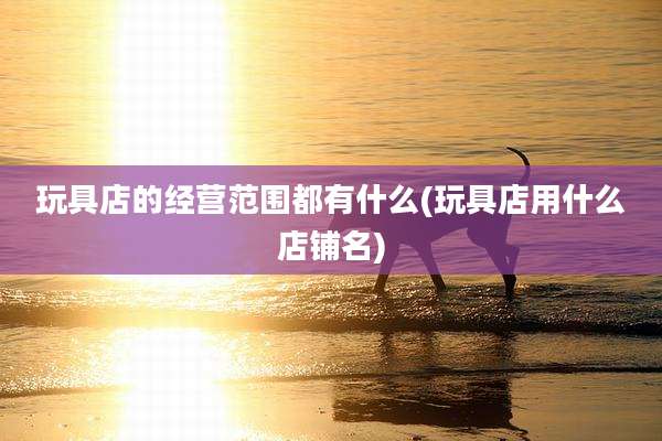 玩具店的经营范围都有什么(玩具店用什么店铺名)