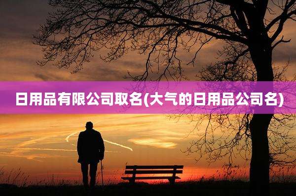 日用品有限公司取名(大气的日用品公司名)