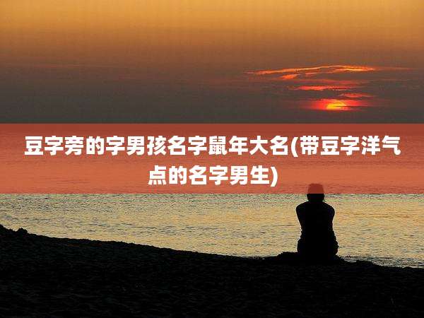 豆字旁的字男孩名字鼠年大名(带豆字洋气点的名字男生)
