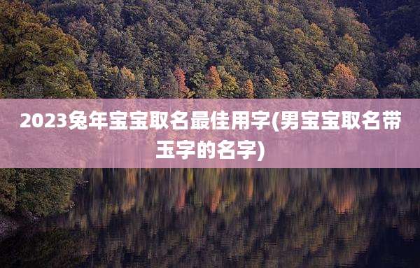 2023兔年宝宝取名最佳用字(男宝宝取名带玉字的名字)