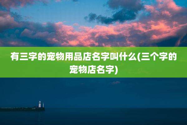 有三字的宠物用品店名字叫什么(三个字的宠物店名字)