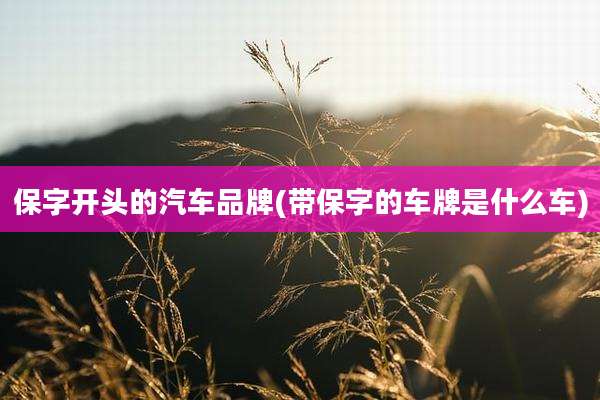 保字开头的汽车品牌(带保字的车牌是什么车)