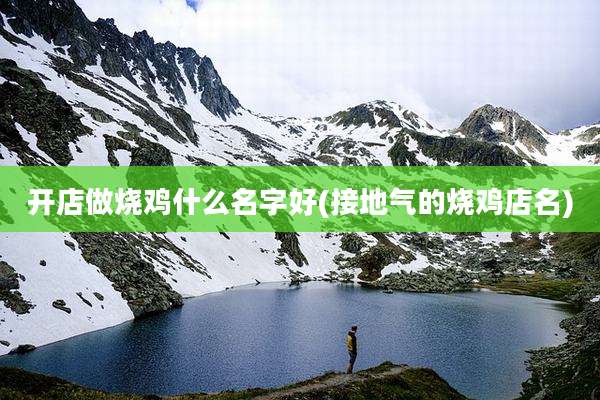 开店做烧鸡什么名字好(接地气的烧鸡店名)