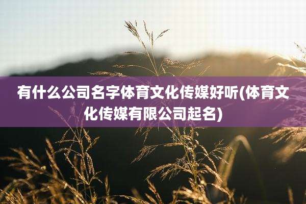 有什么公司名字体育文化传媒好听(体育文化传媒有限公司起名)