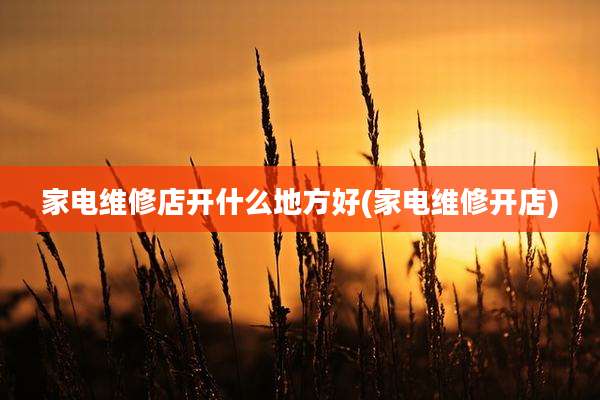 家电维修店开什么地方好(家电维修开店)