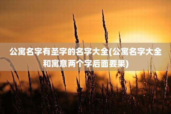 公寓名字有圣字的名字大全(公寓名字大全和寓意两个字后面要果)