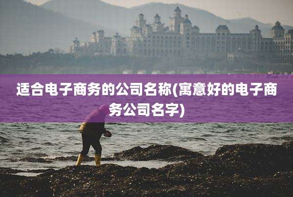 适合电子商务的公司名称(寓意好的电子商务公司名字)