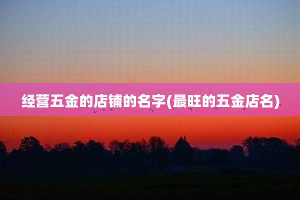 经营五金的店铺的名字(最旺的五金店名)