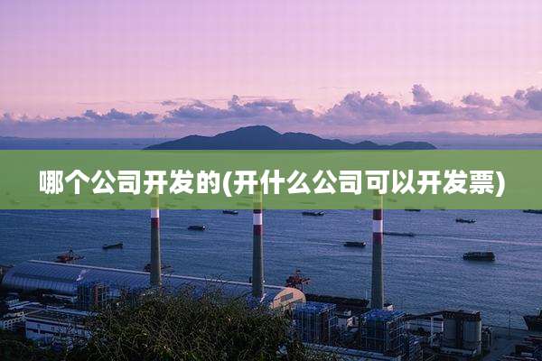 哪个公司开发的(开什么公司可以开发票)