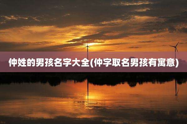 仲姓的男孩名字大全(仲字取名男孩有寓意)