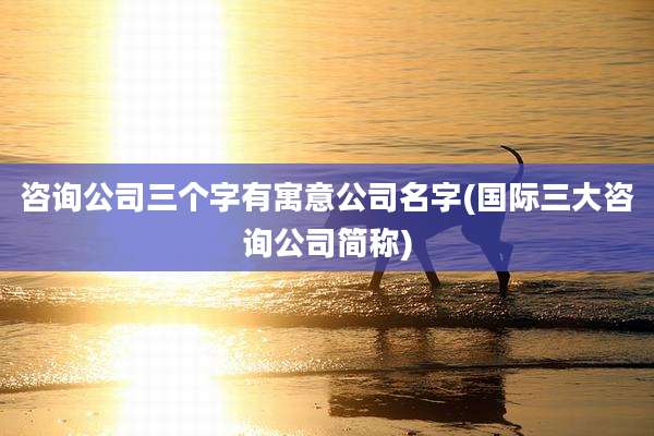 咨询公司三个字有寓意公司名字(国际三大咨询公司简称)