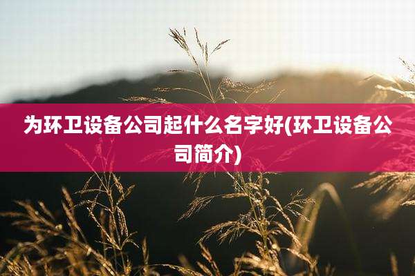 为环卫设备公司起什么名字好(环卫设备公司简介)