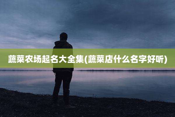 蔬菜农场起名大全集(蔬菜店什么名字好听)