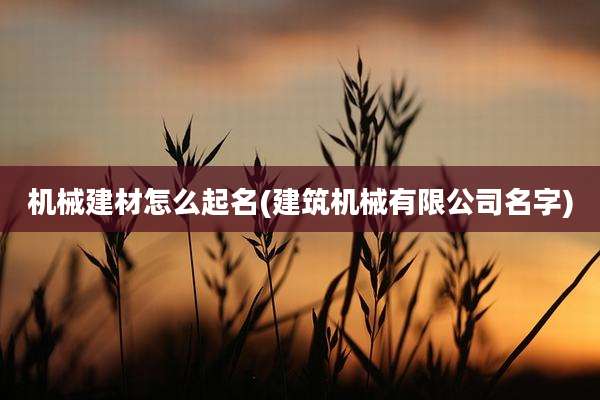 机械建材怎么起名(建筑机械有限公司名字)