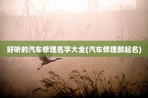 好听的汽车修理名字大全(汽车修理部起名)