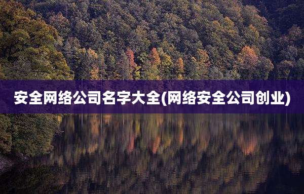 安全网络公司名字大全(网络安全公司创业)