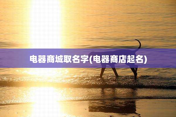 电器商城取名字(电器商店起名)