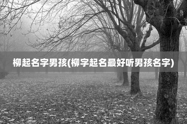 柳起名字男孩(柳字起名最好听男孩名字)