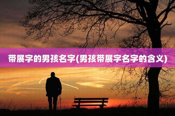 带展字的男孩名字(男孩带展字名字的含义)