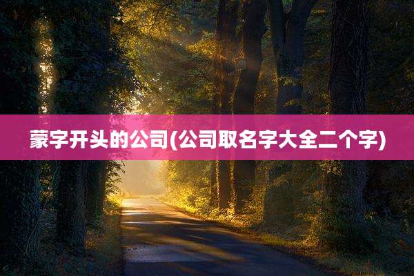 蒙字开头的公司(公司取名字大全二个字)