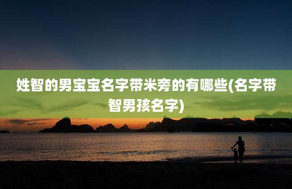 姓智的男宝宝名字带米旁的有哪些(名字带智男孩名字)
