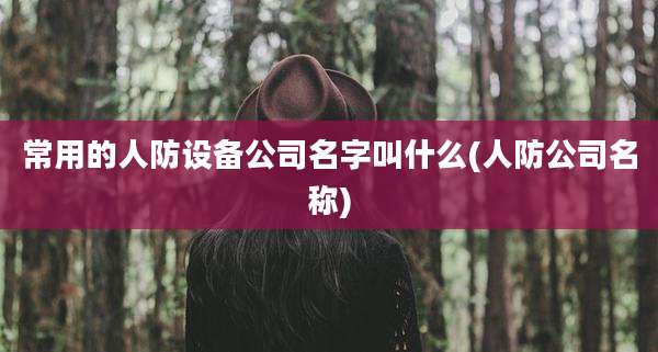 常用的人防设备公司名字叫什么(人防公司名称)