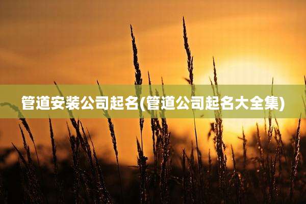 管道安装公司起名(管道公司起名大全集)