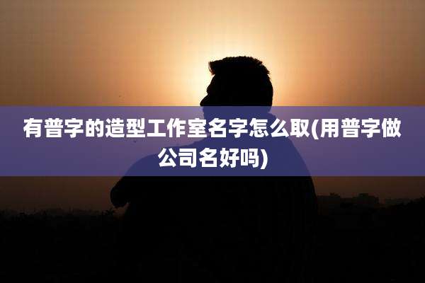 有普字的造型工作室名字怎么取(用普字做公司名好吗)