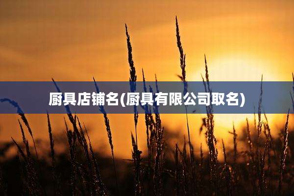 厨具店铺名(厨具有限公司取名)