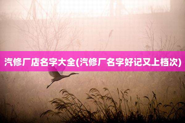 汽修厂店名字大全(汽修厂名字好记又上档次)