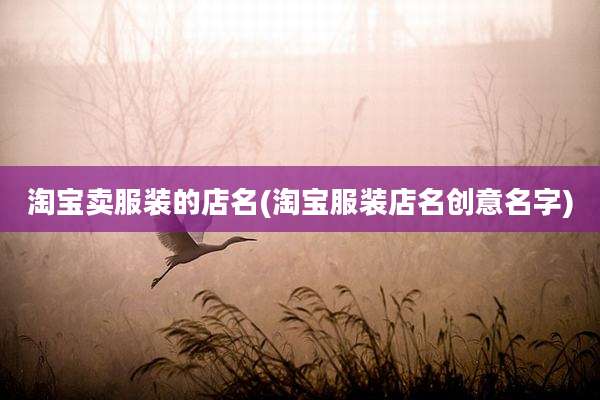 淘宝卖服装的店名(淘宝服装店名创意名字)