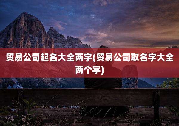 贸易公司起名大全两字(贸易公司取名字大全两个字)