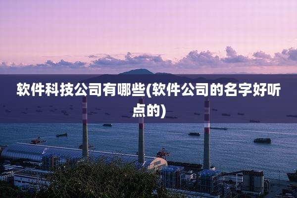 软件科技公司有哪些(软件公司的名字好听点的)