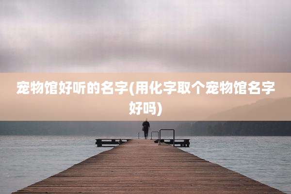 宠物馆好听的名字(用化字取个宠物馆名字好吗)