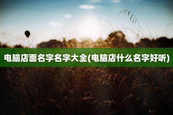 电脑店面名字名字大全(电脑店什么名字好听)