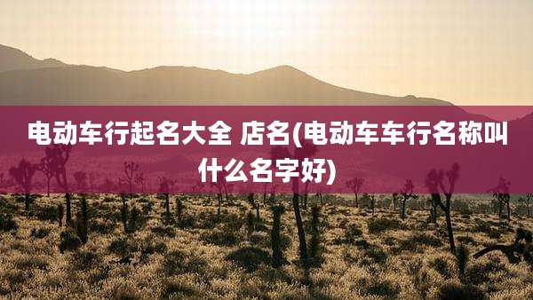 电动车行起名大全 店名(电动车车行名称叫什么名字好)