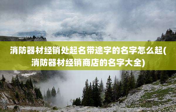 消防器材经销处起名带途字的名字怎么起(消防器材经销商店的名字大全)
