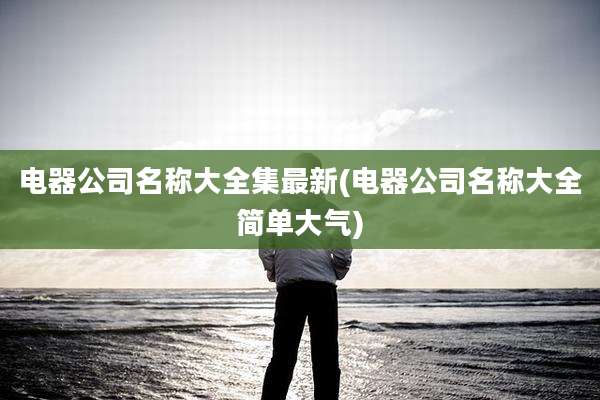 电器公司名称大全集最新(电器公司名称大全简单大气)