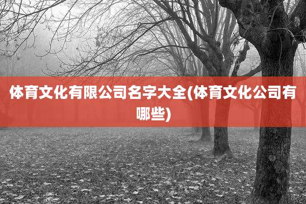 体育文化有限公司名字大全(体育文化公司有哪些)