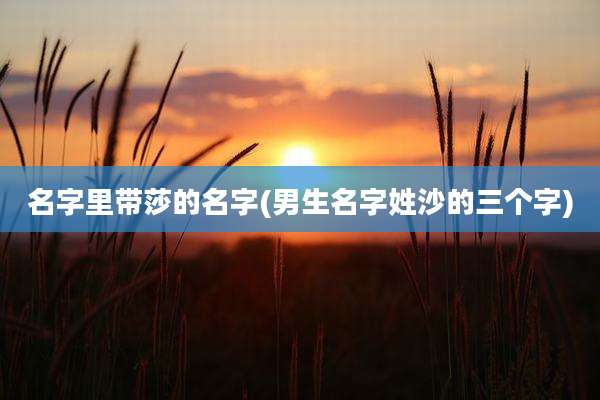 名字里带莎的名字(男生名字姓沙的三个字)