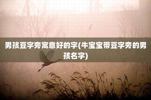 男孩豆字旁寓意好的字(牛宝宝带豆字旁的男孩名字)