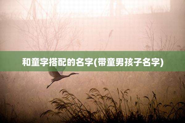 和童字搭配的名字(带童男孩子名字)